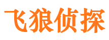 高淳侦探取证